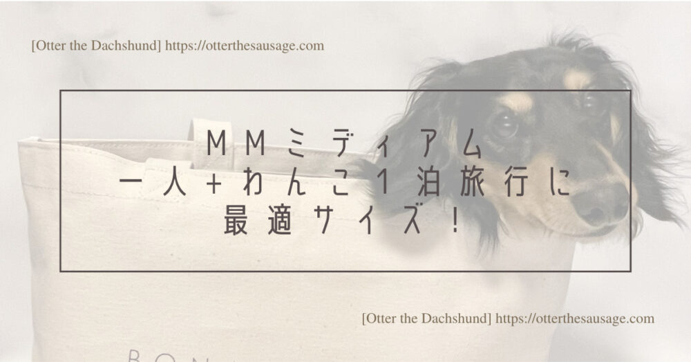 Header Image_Otter the Dachshund_travel with dogs_hang out with dogs_犬旅ブログ_犬とお出かけブログ_BONAVENTURA ECO BAG_Header Image_Otter the Dachshund_travel with dogs_hang out with dogs_犬旅ブログ_犬とお出かけブログ_BONAVENTURA ECO BAG_PMスモールはしっかり犬連れお出かけにぴったり！
